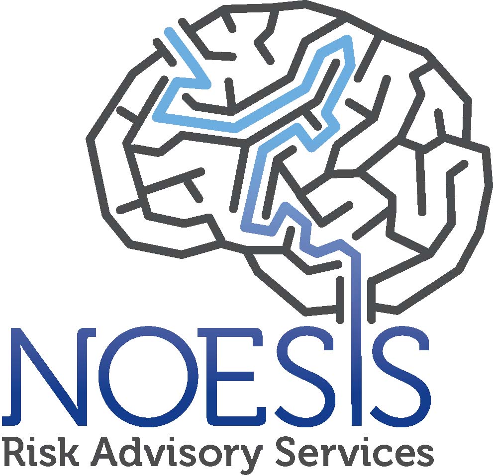 Noesis Risk Advisory Services