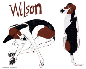 WilsonLR